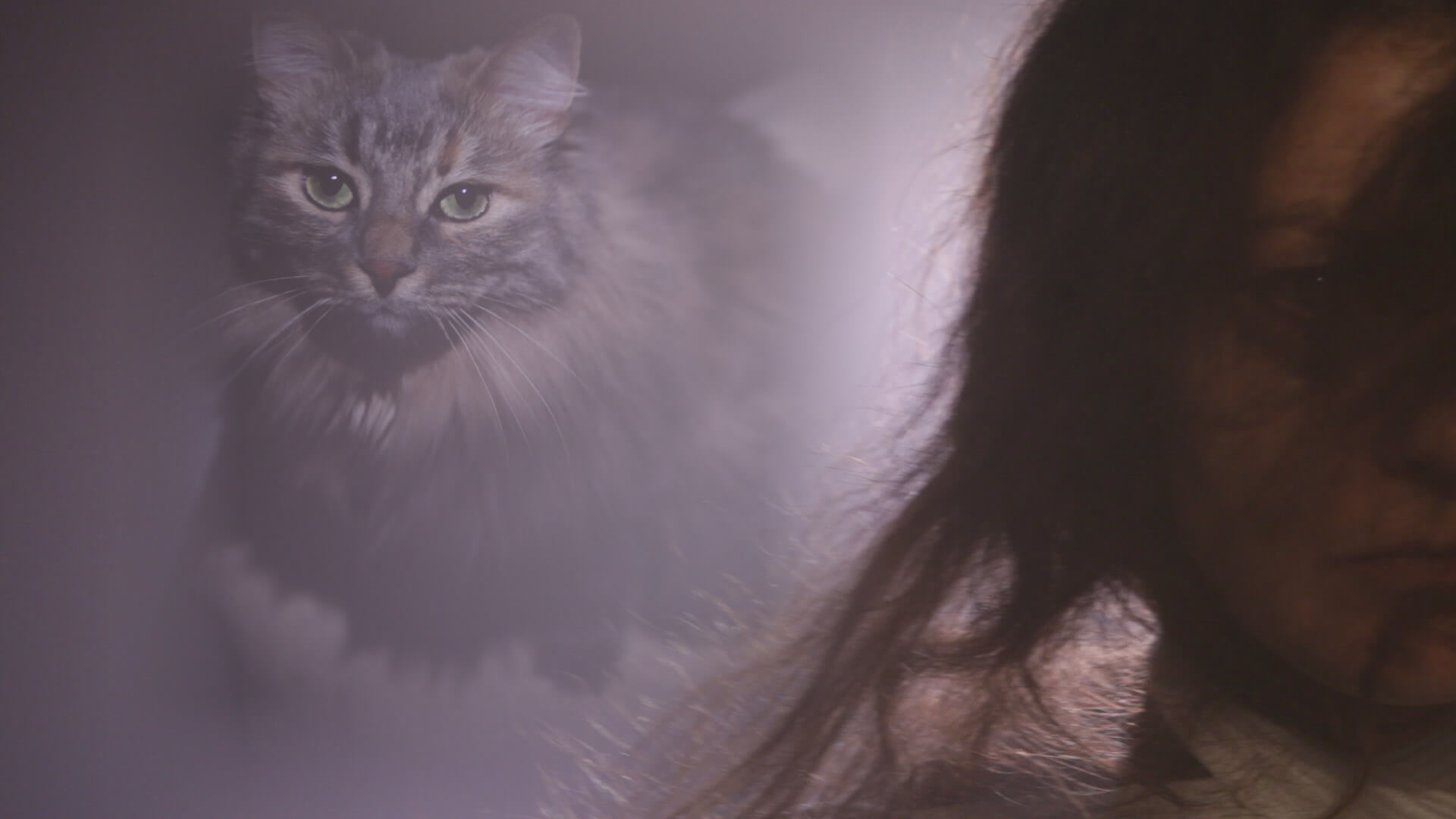 A frame from the movie Mama why are they killing us